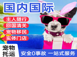 珠海莲洲航空空运国际宠物托运 【国